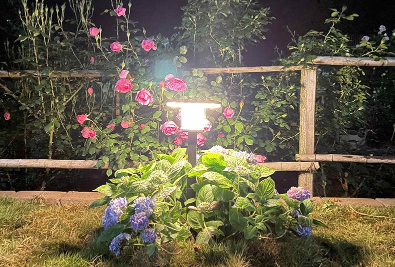 Solar Ground - Inserted Dual - Color Courtyard Light